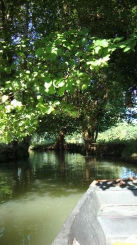 Marais poitevin 7 360x641